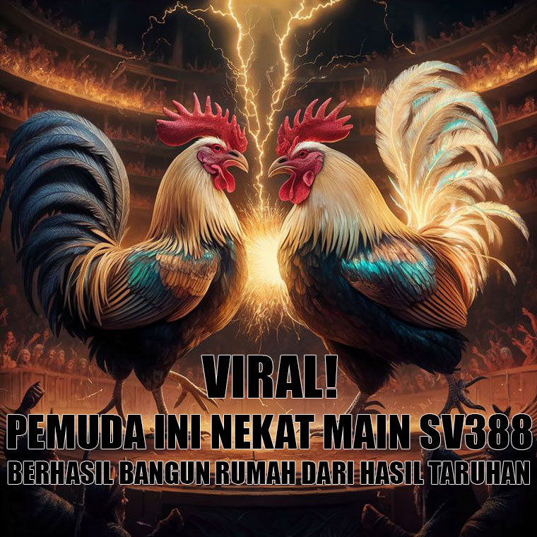 BANDAR303